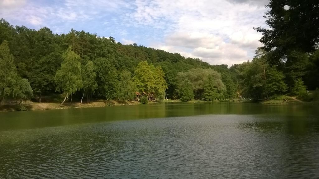 Mecsek-Lak Hotell Magyarhertelend Exteriör bild